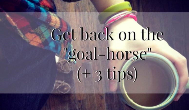 Getting back on the “goal-horse”