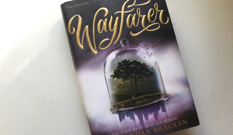 In Review Wayfarer